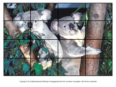 Puzzle-Koala-1.pdf
